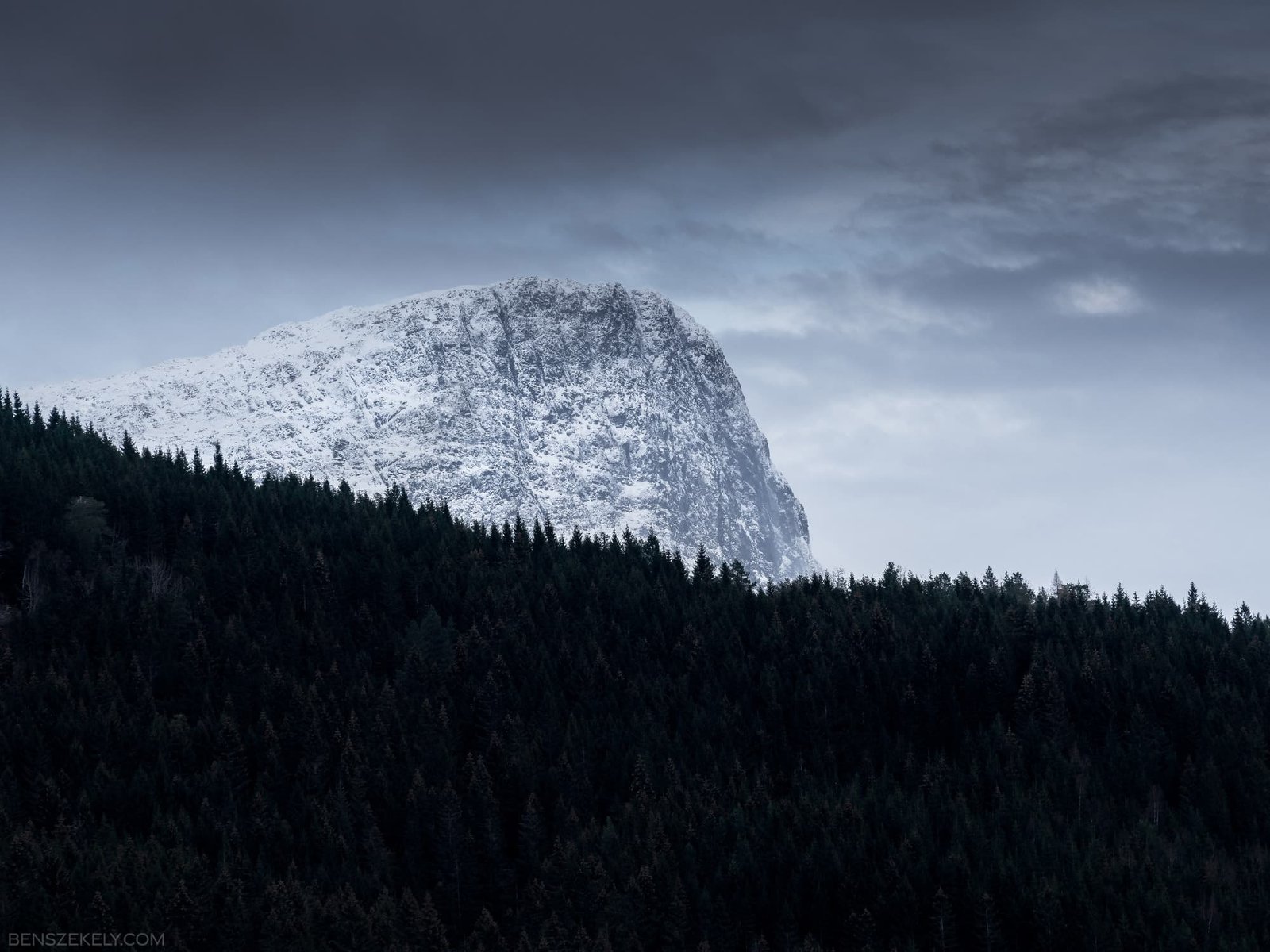 Landscape photograph of a huge snowy mountain behind a forest.