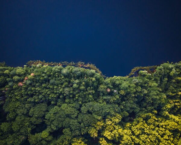 Aerial photograph of water and forest