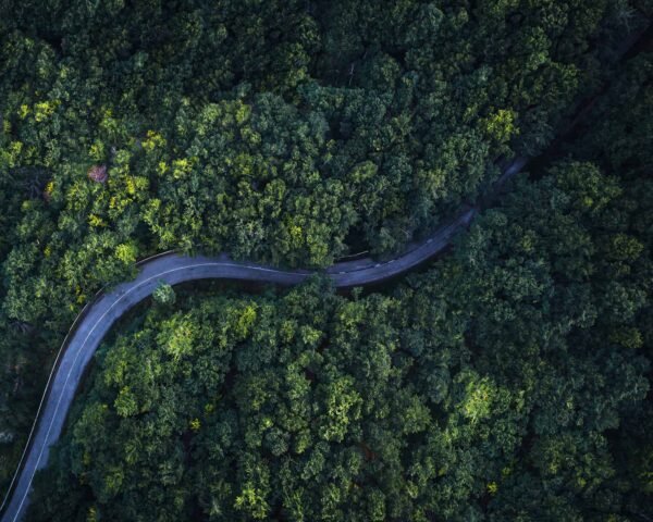 An aerial photograph of a curvy road surrounded by green and yellow trees