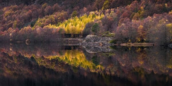 A nature photograph of a colorful autumn forest and its reflection