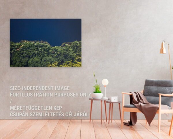 A printed photograph of a shoreline between a lake and a forest hanging in a home