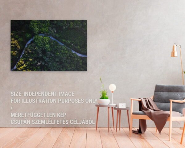 A wall art showing a curvy road in a forest hanging on a wall in a clean home