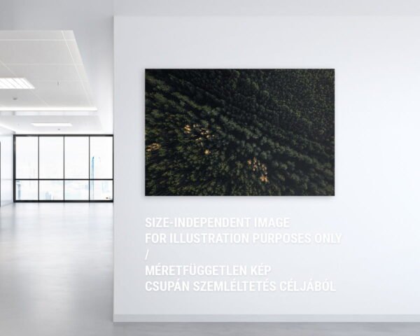Nagyméretű irodai kép egy zöld erdőről