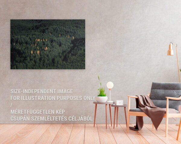 A fine art photographic print of some yellow trees in a green forest at a cozy home