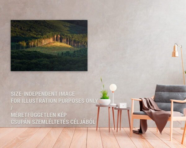 A wall art of a sunny forest hanging in a home