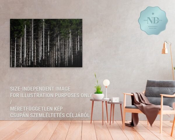 A fine art nature photography print of a shadowplay on some treetrunks hanging in a cozy home