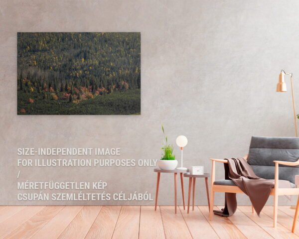 Egy otthonos lakásban lógó művészi nyomat egy természetfotóról, melyen egy színes erdő látható.