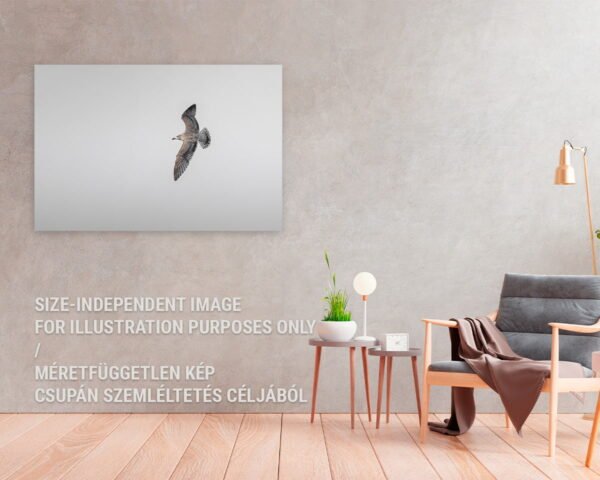 A minimalist fine art print of a seagull