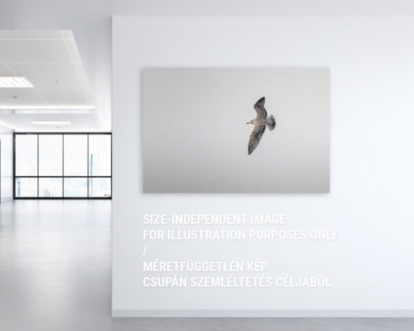 A wall art featuring a flying seagull on a minimalist background