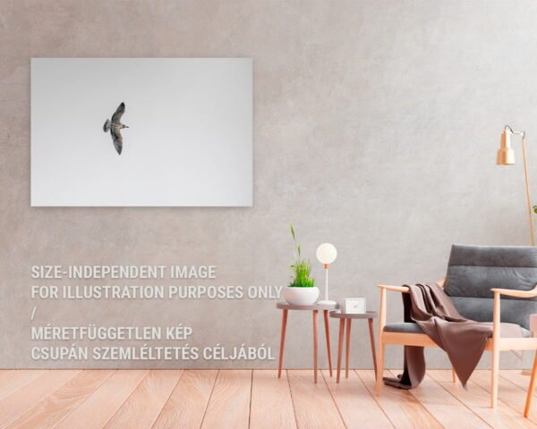 A hanging photographic print at a home of a flying seagull