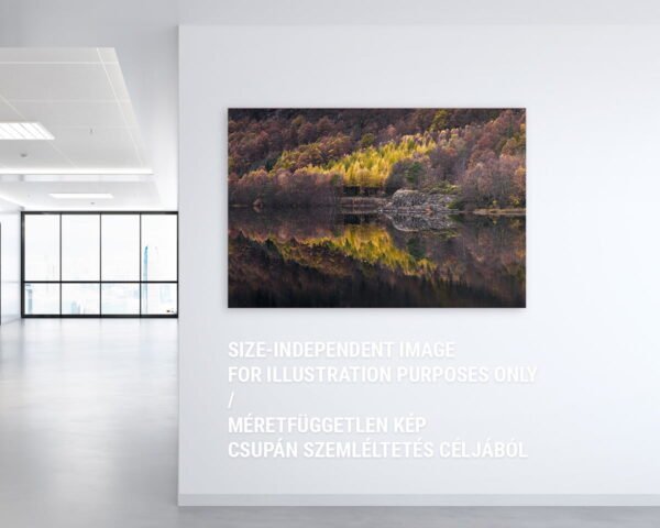 A fine art photo featuring a colorful autumn forest and its reflection on an office wall