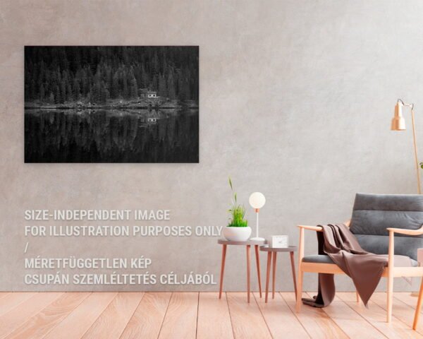 A B&W photograph of forest and a tiny house hanging in a room