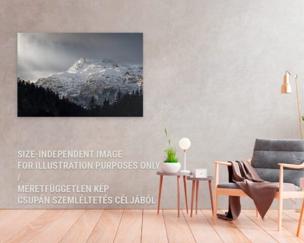 A canvas picture of a mountain hanging at a cozy home