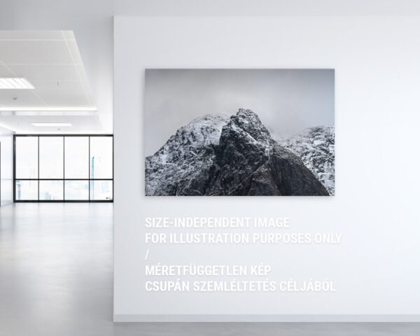 A canvas wall art hanging at an office of a snowy mountain top