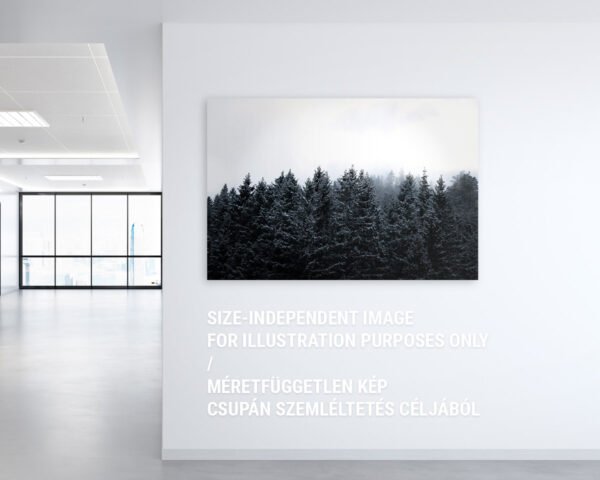A fine art photography print hanging on an office wall showcasing a winter forest