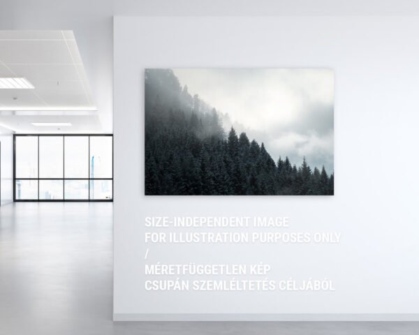 A photograph of a misty forest hanging on an office wall