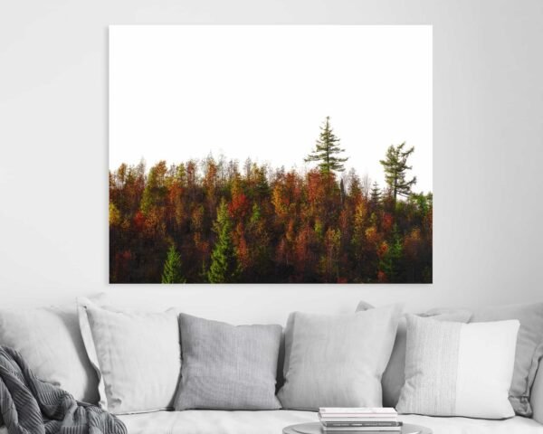 Wall art mockup of a forest in autumn colors