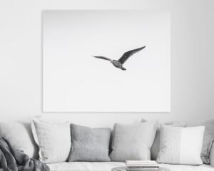 Photograph of a flying bird hanging at a home