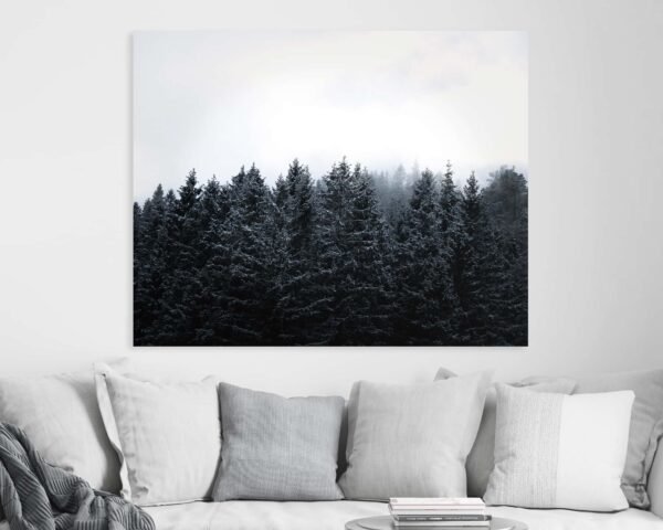 Photograph on a wall of a moody forest