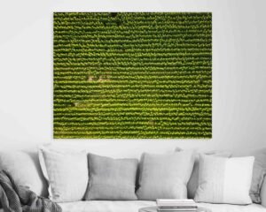 Wall art in a living room of sunflowers