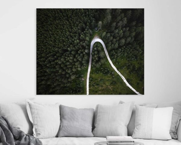 Aerial photograph of a curvy road in the middle of a green forest hanging at a cozy home