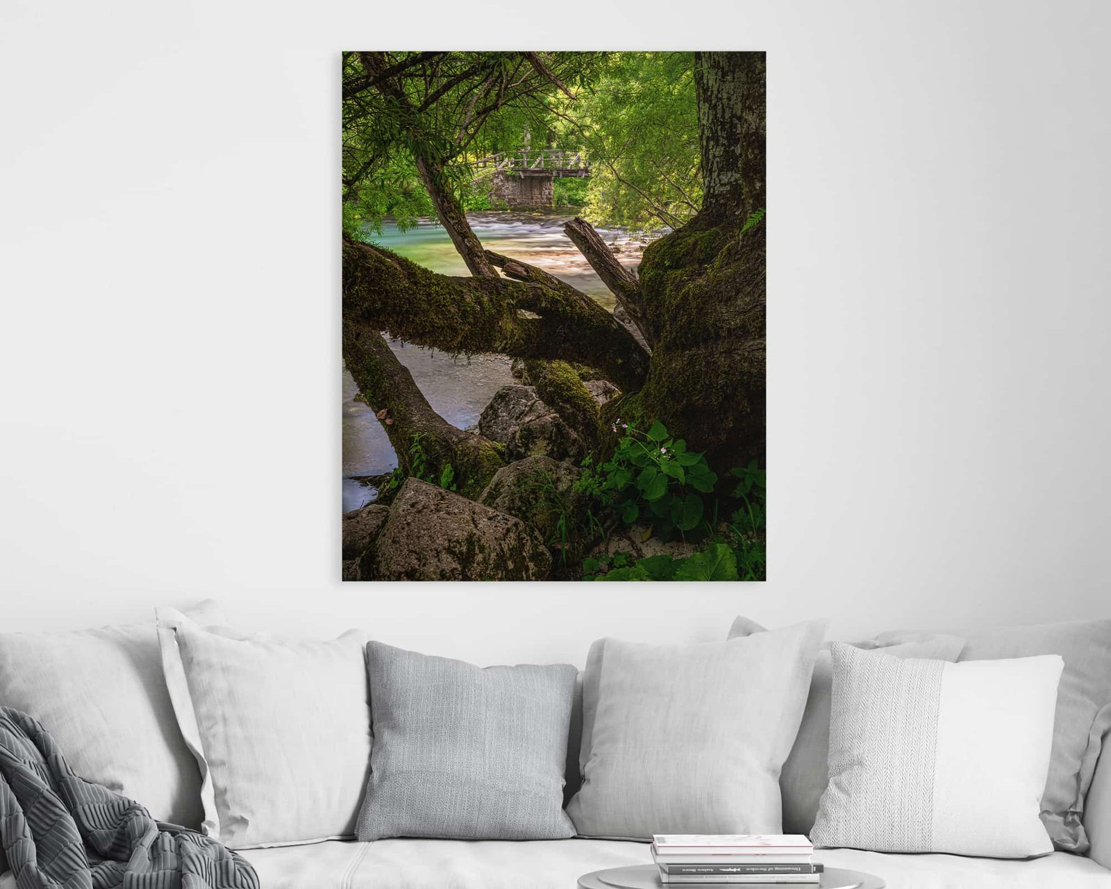 Photograph of a stream, a bridge and a tree hanging at a home