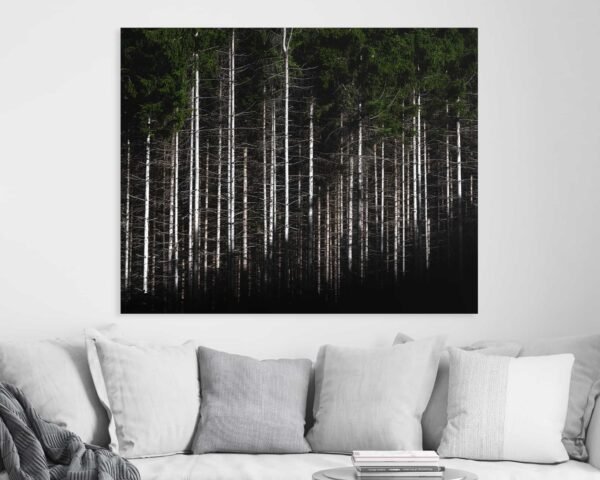 Minimalista fali kép, melyen fák törzse látható